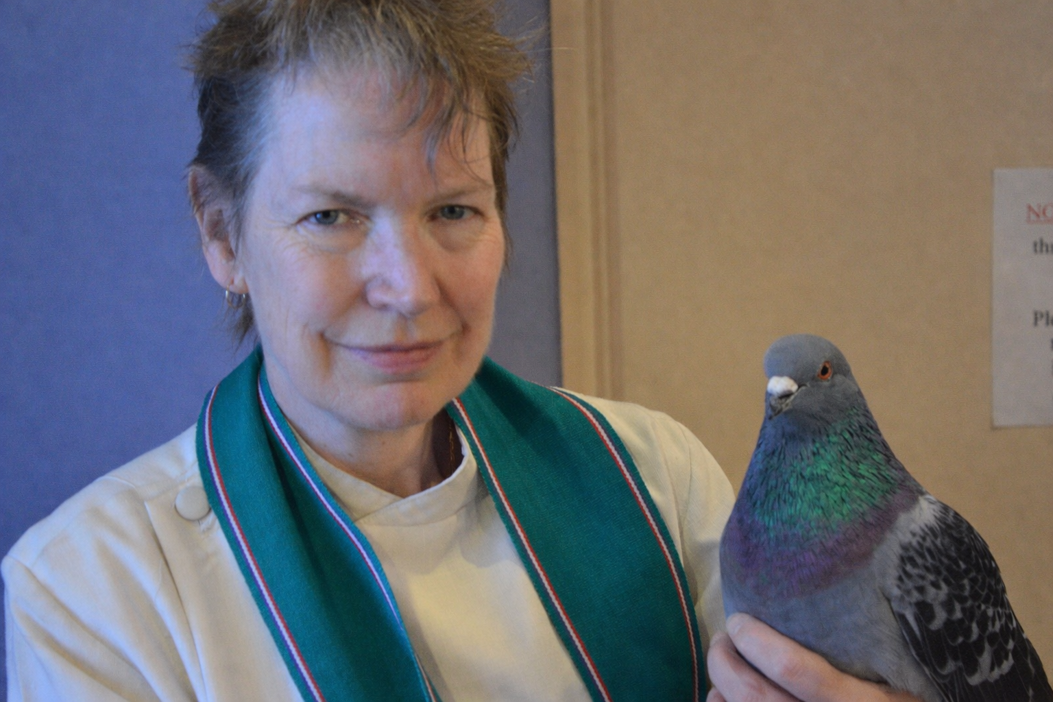 Barbara Allen-Pigeon-researcher.jpg
