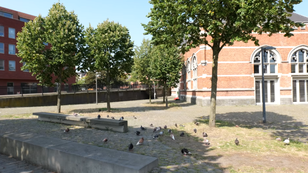 Choose Natural Grains Whenever Possible